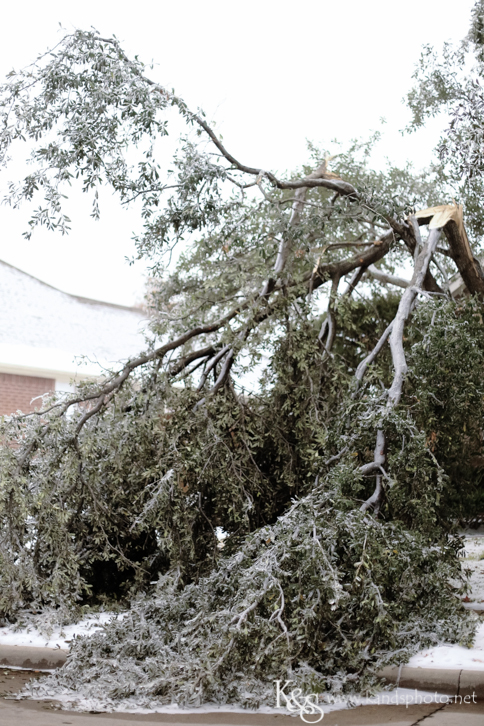 Dallas Wedding Photographers - K & S Photography